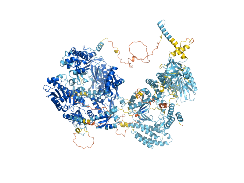 AlphaFold predicted structure of POL2