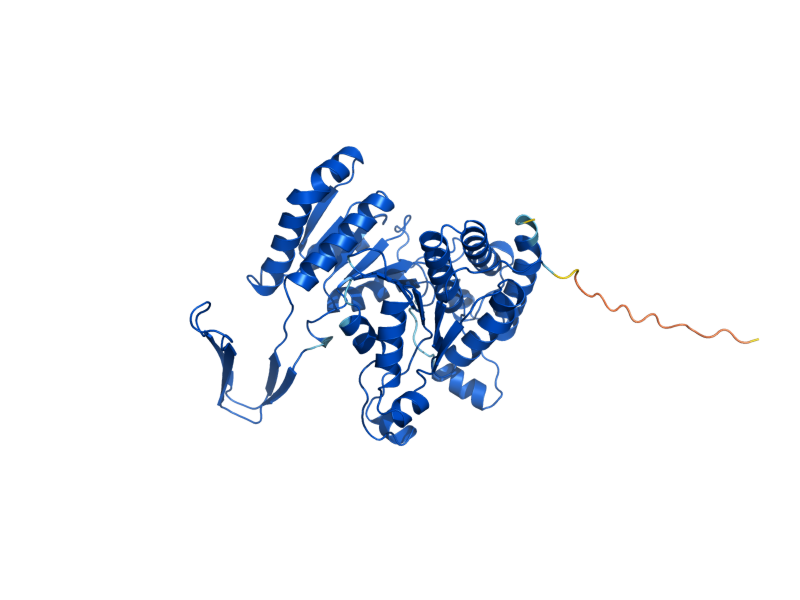 AlphaFold predicted structure of IDP1