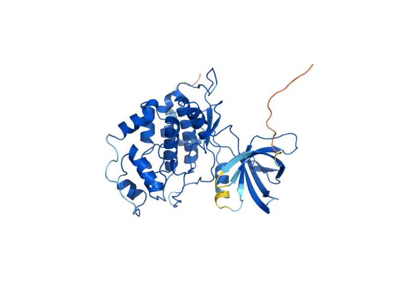 AlphaFold predicted structure of MCK1