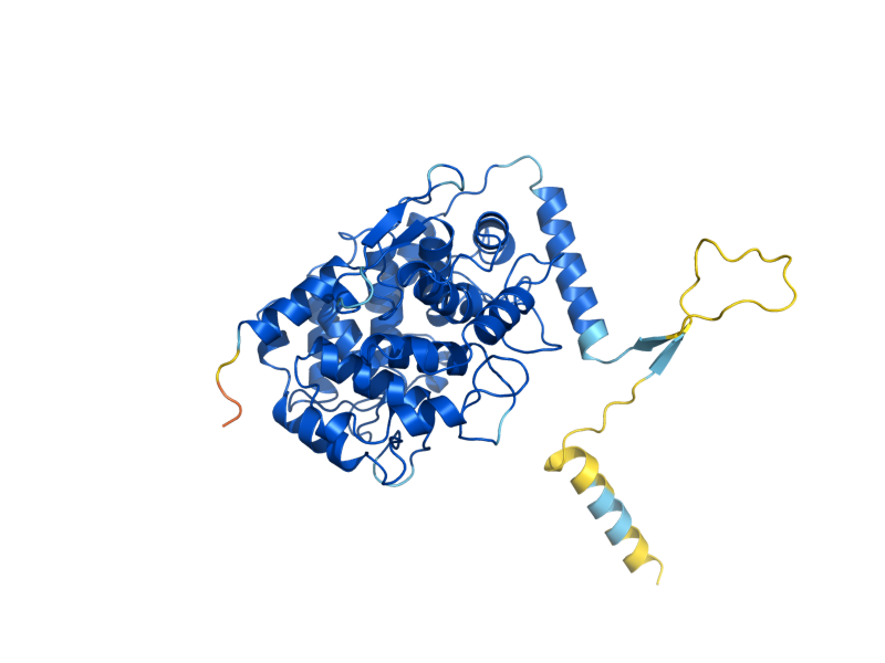 AlphaFold predicted structure of RAM1