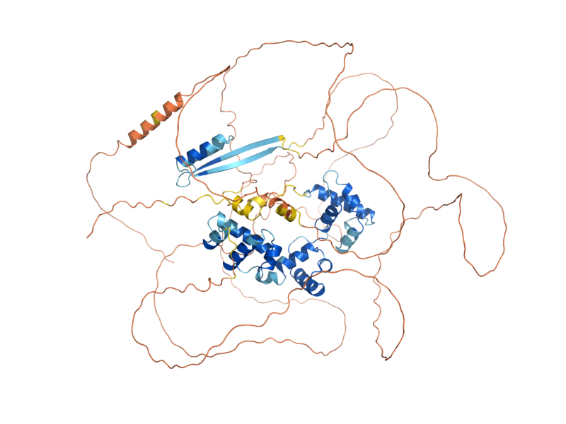 AlphaFold predicted structure of BAS1