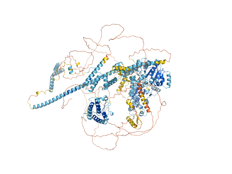 AlphaFold predicted structure of SNF2