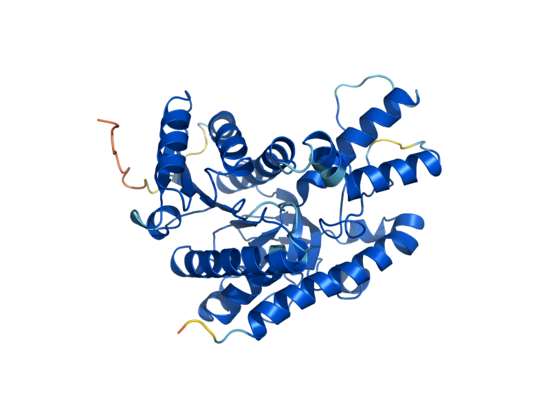 AlphaFold predicted structure of MDH2