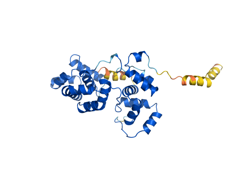 AlphaFold predicted structure of MAG1