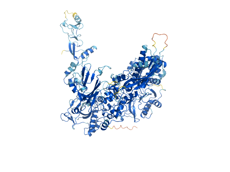 AlphaFold predicted structure of RPA135