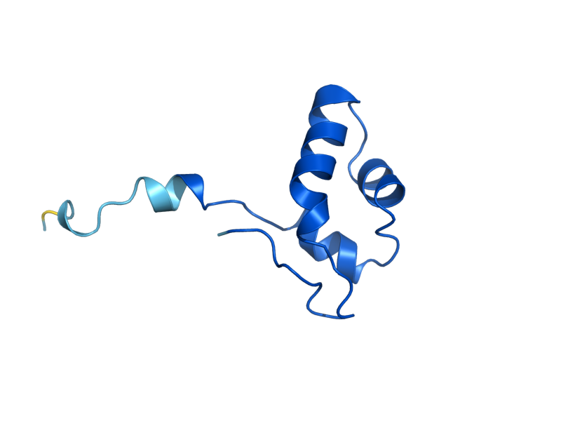AlphaFold predicted structure of RPB10
