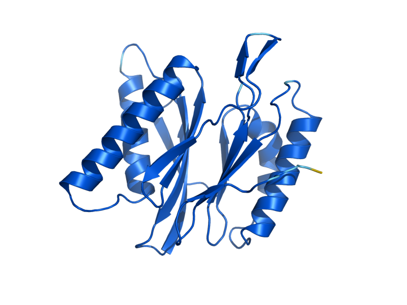 AlphaFold predicted structure of PRE1