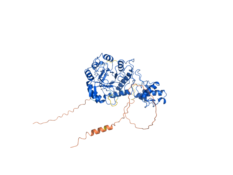 AlphaFold predicted structure of GAS1