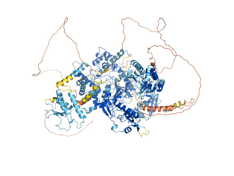 AlphaFold predicted structure of XRN1