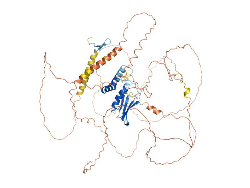 AlphaFold predicted structure of AFT1