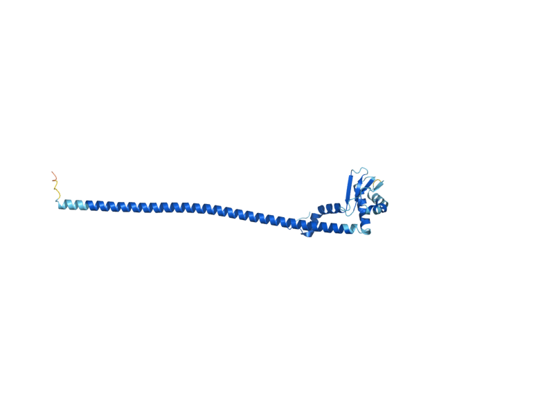 AlphaFold predicted structure of VMA4