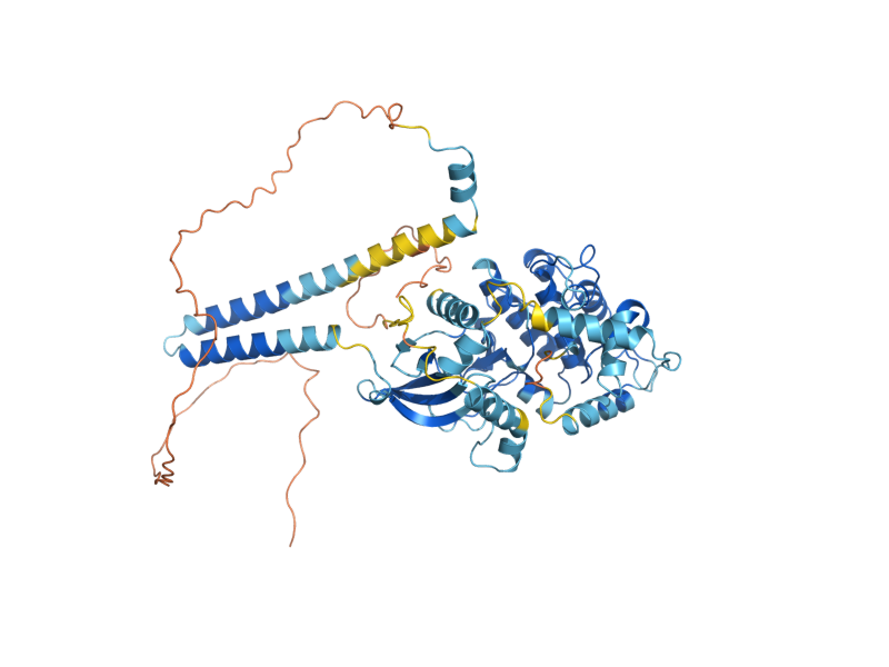 AlphaFold predicted structure of DBF2