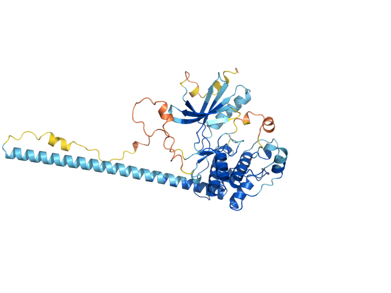 AlphaFold predicted structure of KIN3
