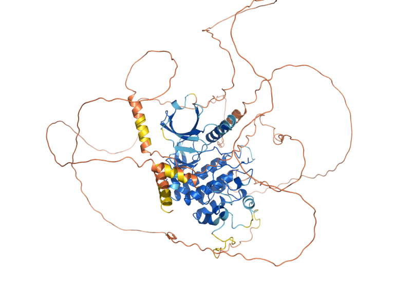 AlphaFold predicted structure of NPR1
