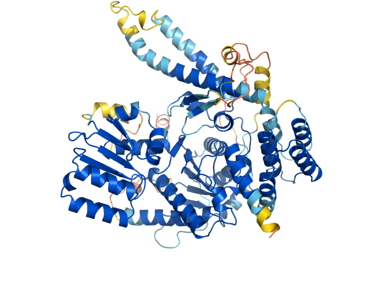 AlphaFold predicted structure of SLY1