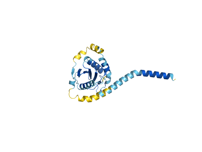 AlphaFold predicted structure of SEC22