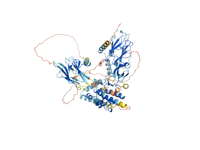 AlphaFold predicted structure of RAD53
