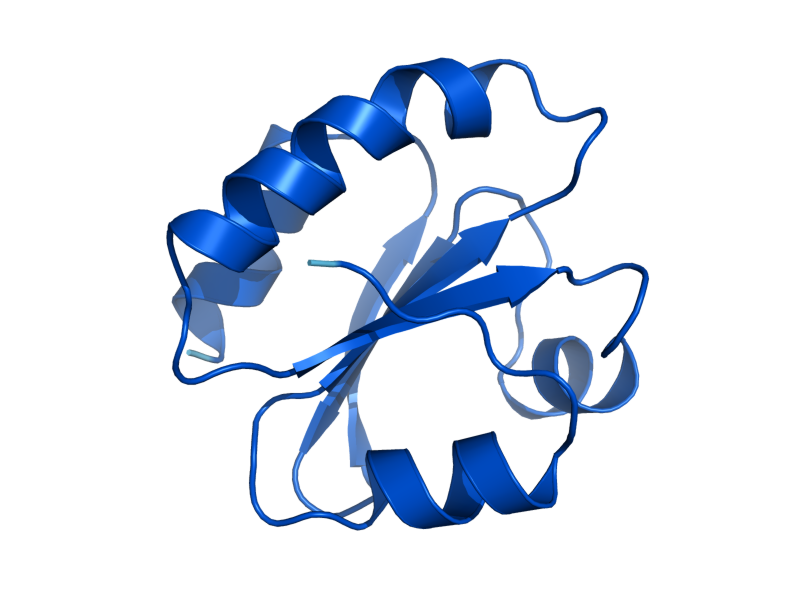 AlphaFold predicted structure of TRX1
