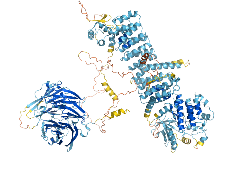 AlphaFold predicted structure of VPS15