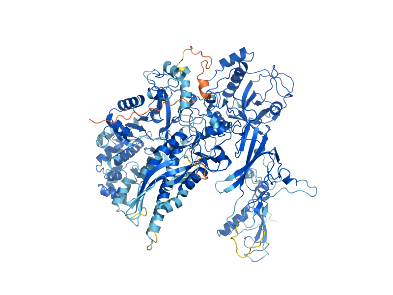AlphaFold predicted structure of RET1
