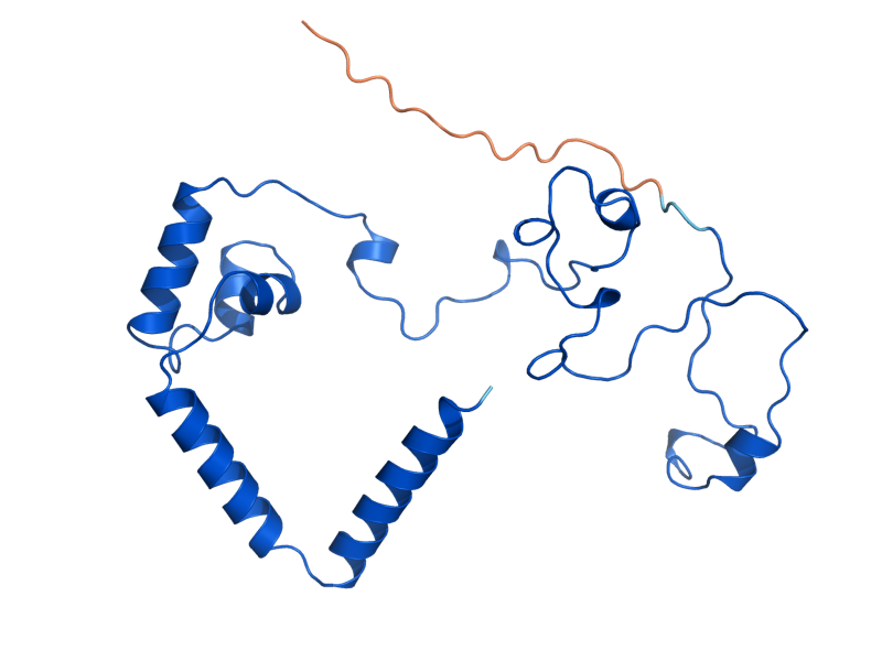 AlphaFold predicted structure of MRPL20