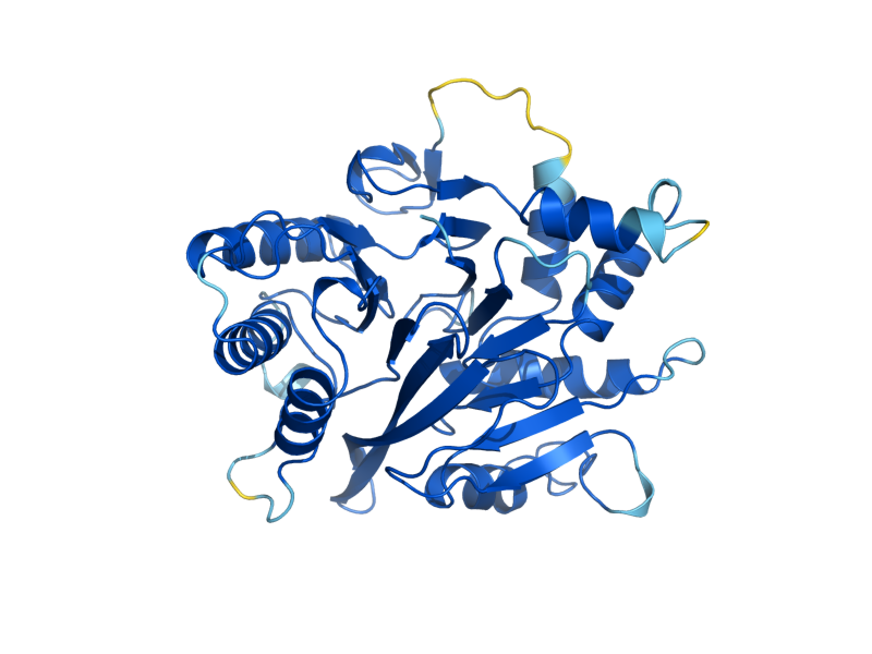 AlphaFold predicted structure of PDE1
