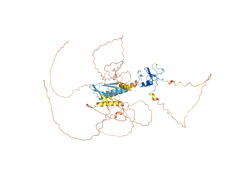 AlphaFold predicted structure of SAN1