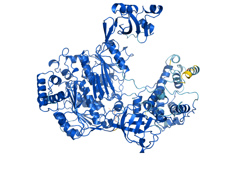 AlphaFold predicted structure of UBA1