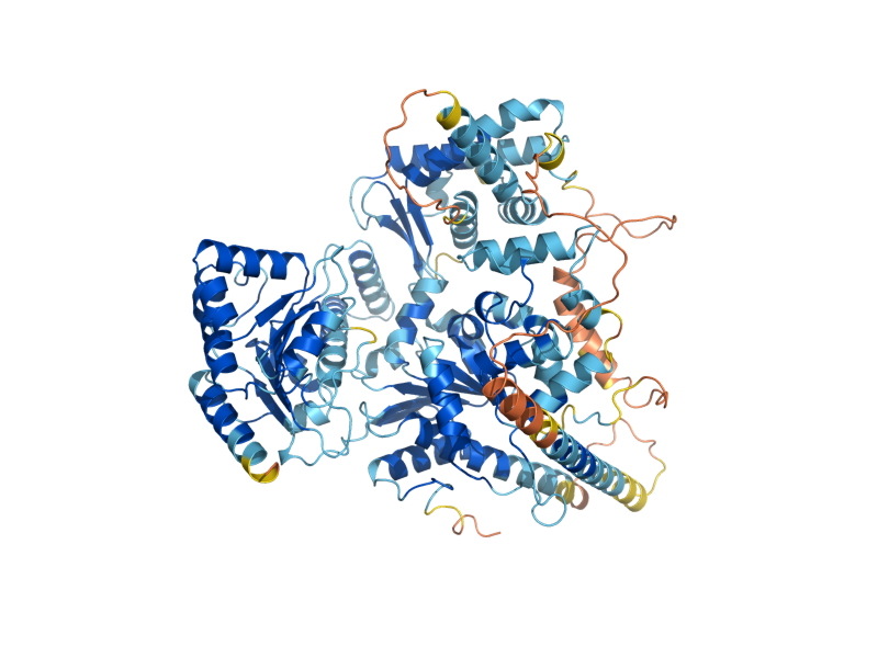 AlphaFold predicted structure of CHL1