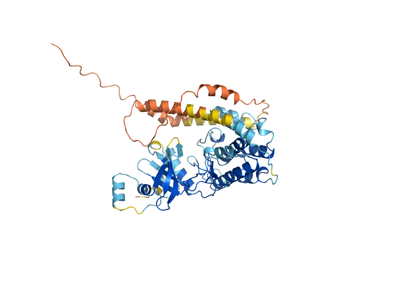 AlphaFold predicted structure of CMK2
