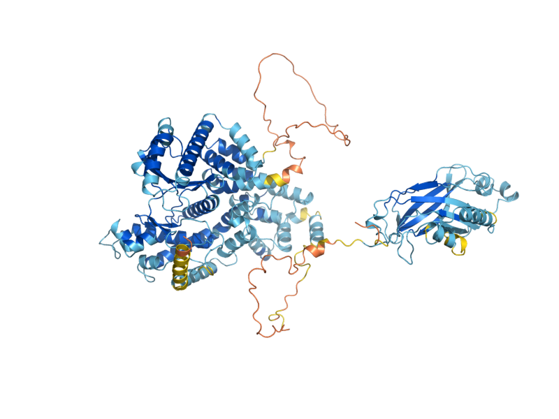 AlphaFold predicted structure of VPS34
