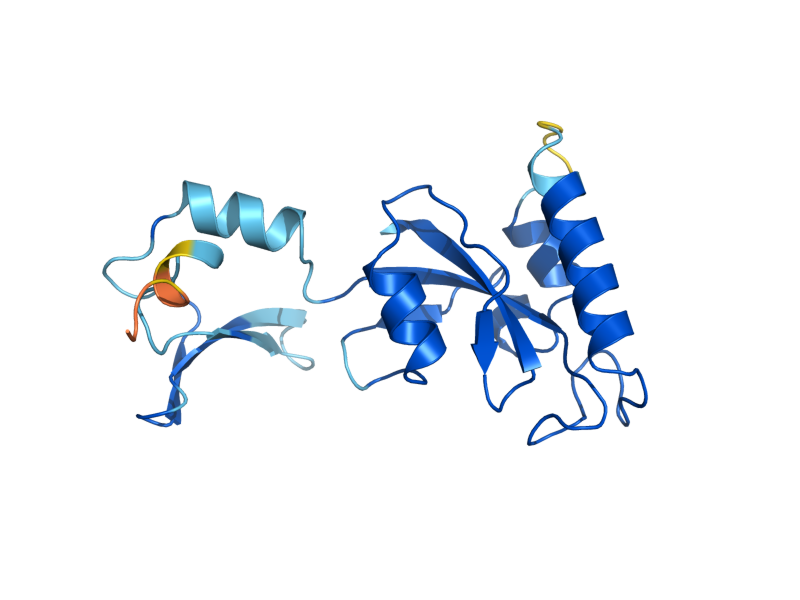 AlphaFold predicted structure of ESS1