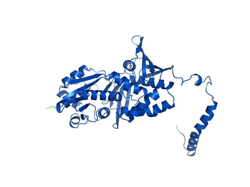 AlphaFold predicted structure of ARG1