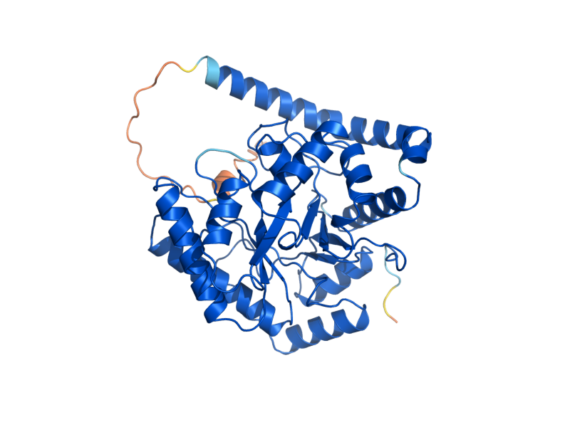 AlphaFold predicted structure of APN1