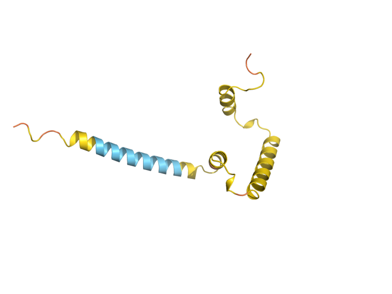AlphaFold predicted structure of HSP12