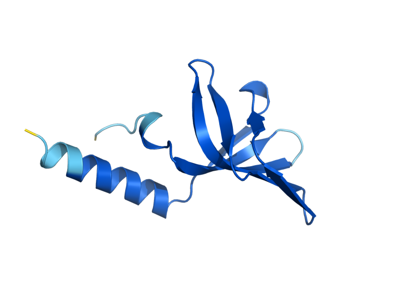 AlphaFold predicted structure of MAK31
