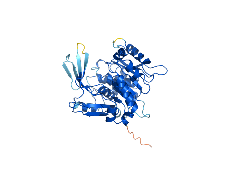 AlphaFold predicted structure of MAK32
