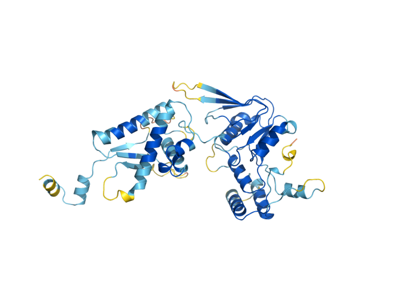 AlphaFold predicted structure of SPO11