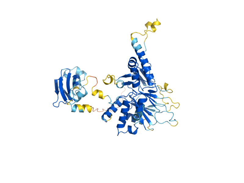 AlphaFold predicted structure of AIM17
