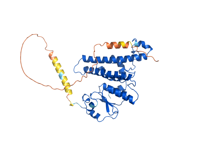 AlphaFold predicted structure of URE2