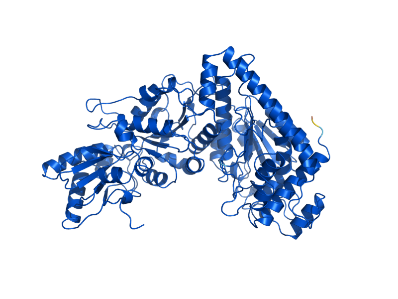 AlphaFold predicted structure of TKL1