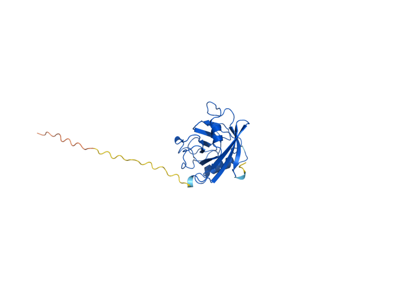 AlphaFold predicted structure of CPR2