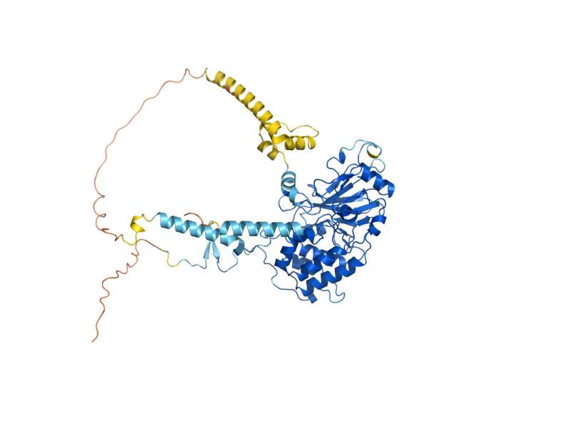 AlphaFold predicted structure of CNA1