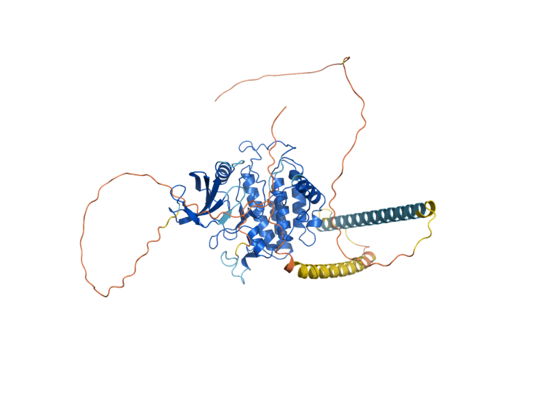 AlphaFold predicted structure of YCK1