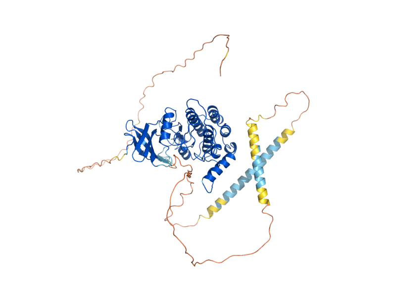 AlphaFold predicted structure of YCK2