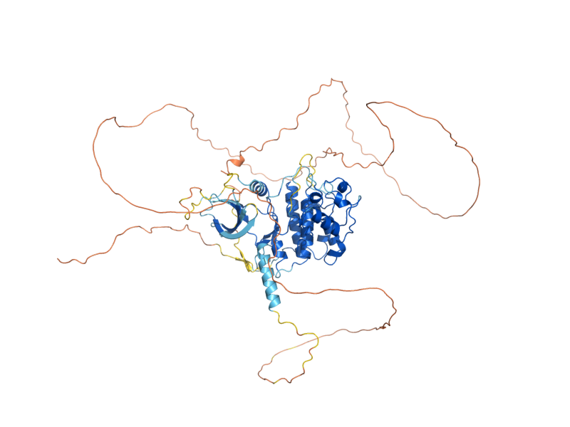 AlphaFold predicted structure of SGV1