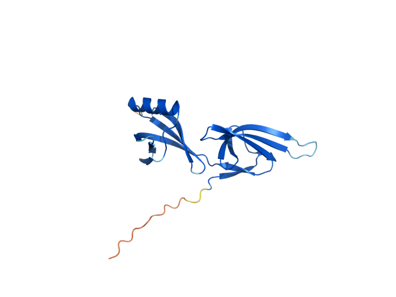 AlphaFold predicted structure of HYP2