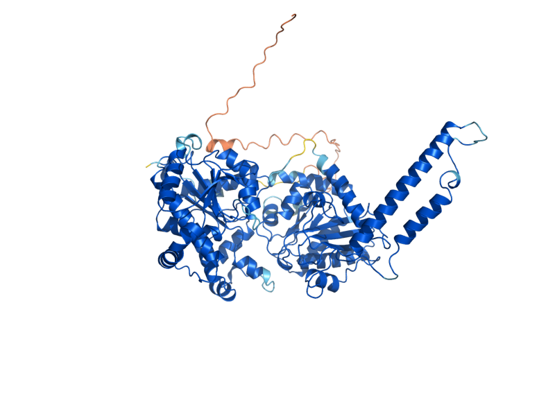 AlphaFold predicted structure of GSY1