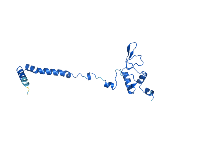 AlphaFold predicted structure of MRPL25