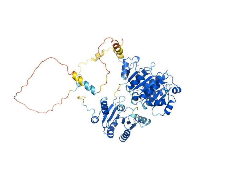 AlphaFold predicted structure of PRP28